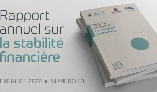 Publication du Rapport sur la Stabilité Financière au titre de l’année 2022